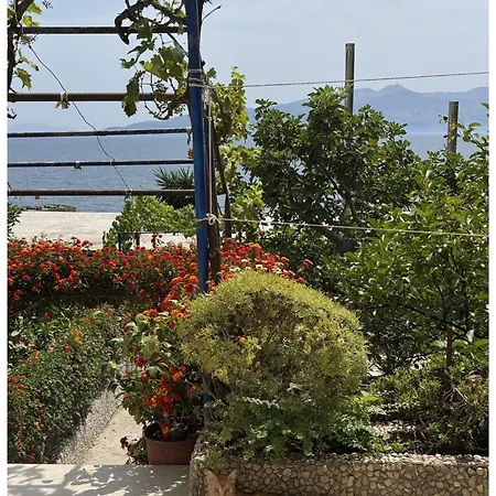 דירה Beachside Golden סרנדה